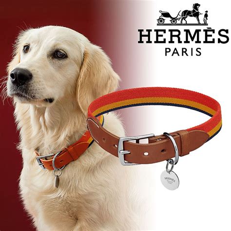 hermes pet|hermes pet accessories for sale.